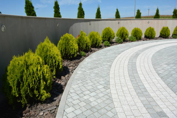 Best Custom Driveway Pavers  in Tacoma, WA